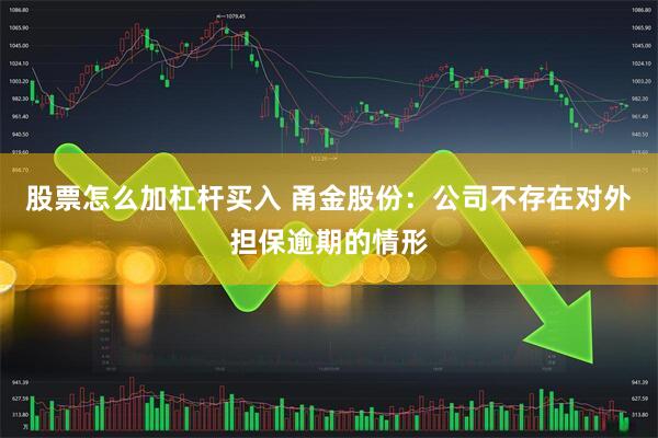 股票怎么加杠杆买入 甬金股份：公司不存在对外担保逾期的情形