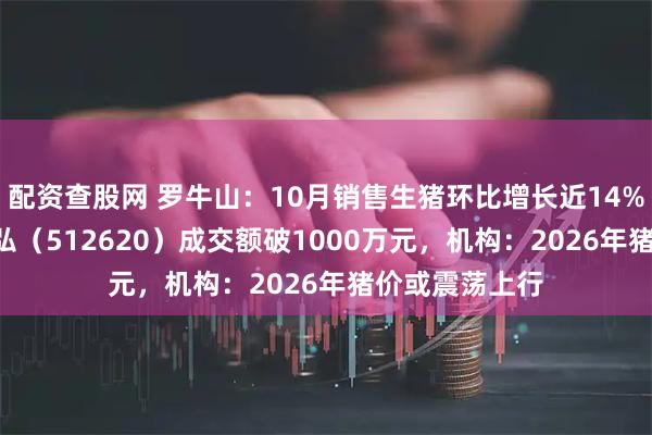 配资查股网 罗牛山：10月销售生猪环比增长近14%，农业ETF天弘（512620）成交额破1000万元，机构：2026年猪价或震荡上行