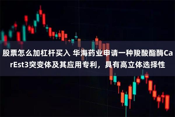 股票怎么加杠杆买入 华海药业申请一种羧酸酯酶CarEst3突变体及其应用专利，具有高立体选择性